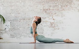 capacitacion Profesorado Ashtanga Vinyasa Yoga (online-vivo)